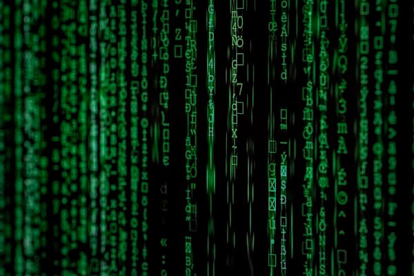 Next.js, WordPress ou Shopify : quel CMS choisir pour ton entreprise en 2025 ?